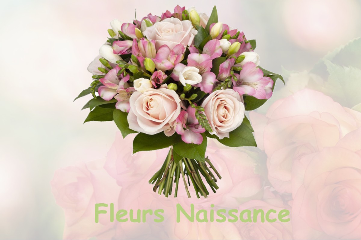 fleurs naissance CHATEAUROUX-LES-ALPES